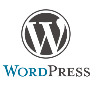 Woredpress website development